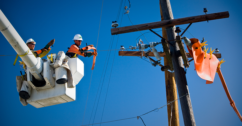 A distribution pole change out with electrical tradesmen insulating live wires in advance